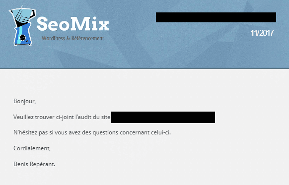 rapport d'audit seo