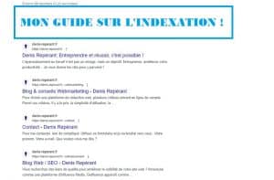 guide indexation web